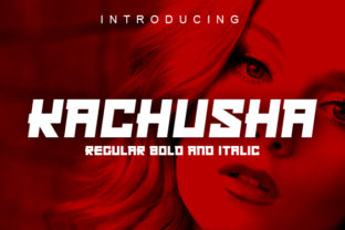 Kachusha: A Bold Display Font for High-Impact Web Design