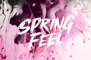 Springfeel: A Dynamic Brush Font for Edgy Brand Design