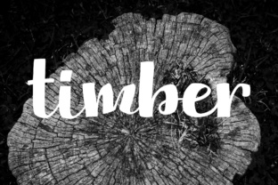 Timber: A Hand-Lettered Display Font Perfect for Bold Branding